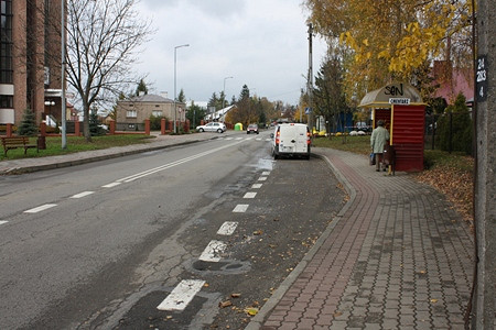 AKCJA ZNICZ 2009 - zdjęcie w treści  nr 2