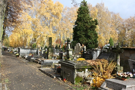 AKCJA ZNICZ 2009 - zdjęcie w treści  nr 1