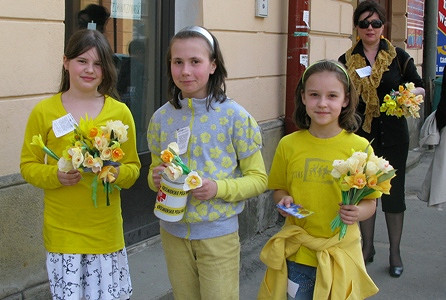 Żonkil dla hospicjum po raz drugi - zdjęcie w treści 