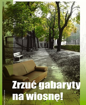 DZIEŃ ZIEMI W KROŚNIE - zdjęcie w treści 