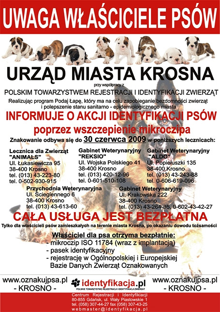 Identyfikator dla pieska! - zdjęcie w treści 