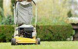 1851121532.jpg