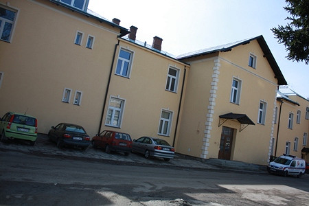Żonkile dla hospicjum po raz drugi - zdjęcie w treści 