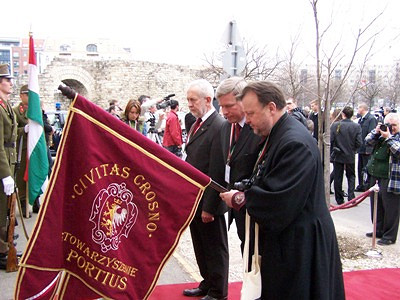 Dzień Przyjaźni Polsko-Węgierskiej BUDAPESZT 2010 - zdjęcie w treści  nr 1