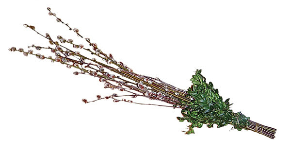 WIELKANOC 2010 - zdjęcie w treści nr 1