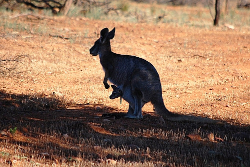 Podsumowanie konkursu Turystyczno - Krajoznawczego w Zespole Szkół Ponadgimnazjalnych Nr 1 w Krośnie - zdjęcie w treści  nr 1