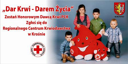 Wakacyjny Apel o Krew - zdjęcie w treści 
