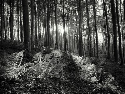 Dwie wystawy fotografii w RCKP - zdjęcie w treści  nr 3