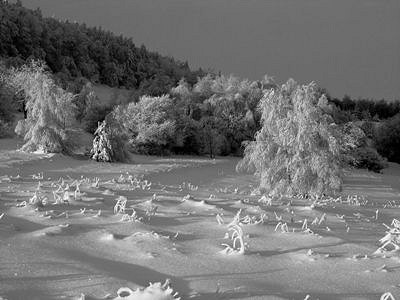 Dwie wystawy fotografii w RCKP - zdjęcie w treści  nr 2