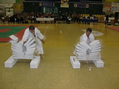 IV Ogólnopolski Turniej Karate Kyokushin Dzieci i Młodzieży - zdjęcie w treści  nr 3