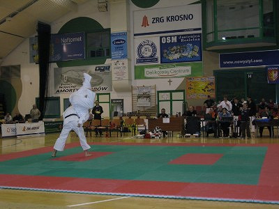 IV Ogólnopolski Turniej Karate Kyokushin Dzieci i Młodzieży - zdjęcie w treści  nr 2