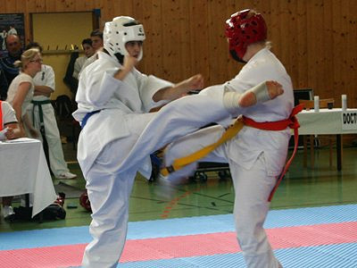 KKS BUDO - sukces w Austrii - zdjęcie w treści  nr 1