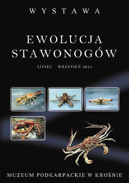 Zapraszamy na wystawę przyrodniczą - zdjęcie w treści  nr 1