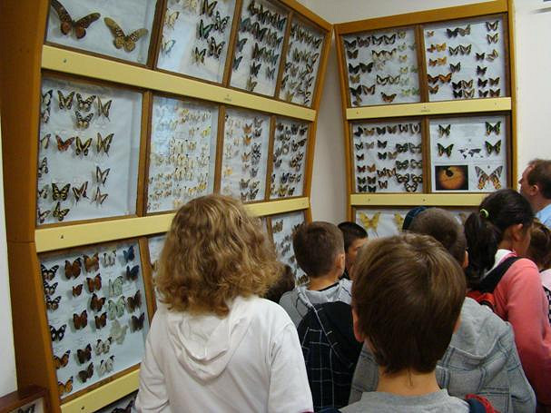 Kraków zdobyty przez dzieci z Oratorium! - zdjęcie w treści  nr 1