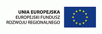 Nabór uzupełniający na Beneficjenta projektu e-Inclusion - zdjęcie w treści  nr 3