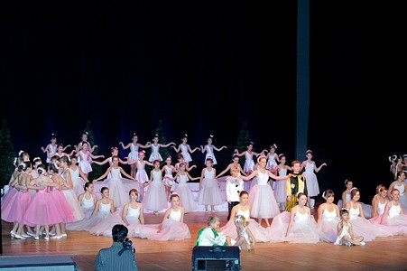 Koncert PRO MUSICA „Szczęśliwego Nowego Roku” - zdjęcie w treści  nr 3