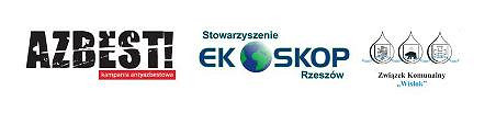 Seminarium na rzecz usuwania azbestu - zdjęcie w treści 