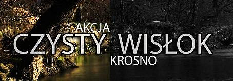 Czysty Wisłok - zdjęcie w treści 