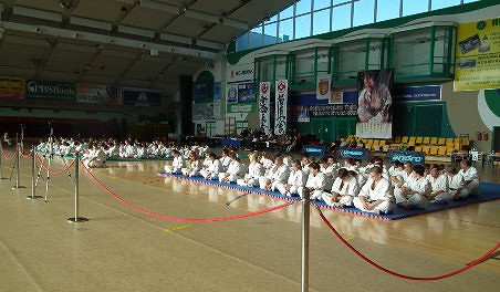 Krośnieński Turniej Karate Kyokushin - zdjęcie w treści 