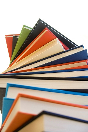 Stypendia szkolne socjalne na rok szkolny 2012/2013 - zdjęcie w treści 