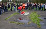 286476820.jpg