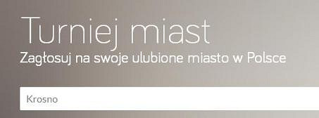 Zagłosuj na Krosno - zdjęcie w treści 