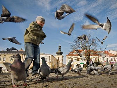 7. Ogólnopolskie Biennale Fotografii Krosno 2013 Miasto i Ludzie - lubię to! - zdjęcie w treści 