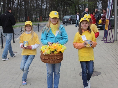 Po raz piąty Krosno „zakwitnie nadzieją”. Pola Nadziei 2013 - zdjęcie w treści  nr 1