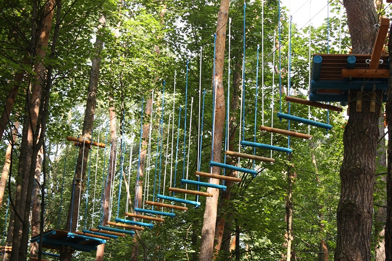 W weekend rusza Linowy Park Przyrody - zdjęcie w treści  nr 2