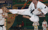11620987.gif
