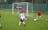 259191233.jpg