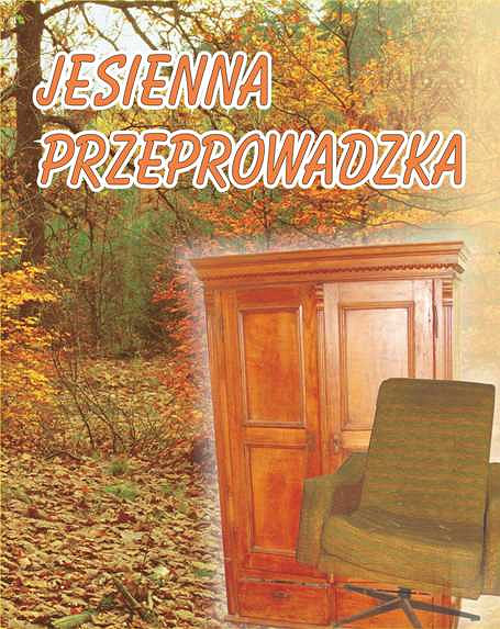Jesienna zbiórka odpadów  wielkogabarytowych i opon - zdjęcie w treści 