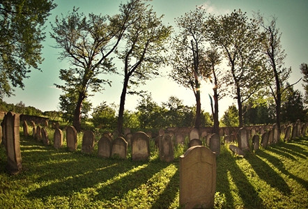 FOTOGRAFICZNIE SMAKOWAŁY POGRANICZE - zdjęcie w treści nr 1
