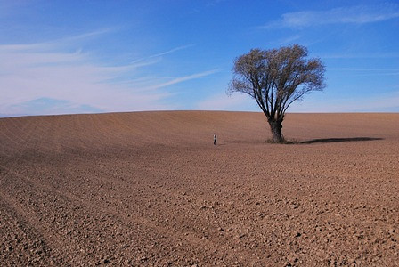 FOTOGRAFICZNIE SMAKOWAŁY POGRANICZE - zdjęcie w treści nr 2