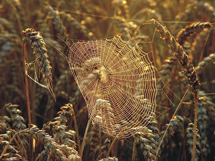 Wystawa poplenerowa - zdjęcie w treści nr 4