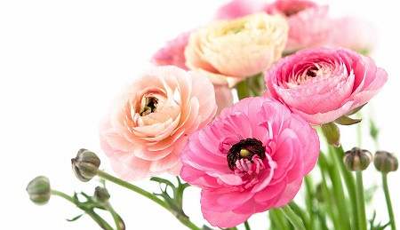 Życzenia z okazji Dnia Edukacji Narodowej - zdjęcie w treści 