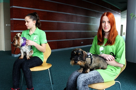 TWÓRCZE FanabERIE w Regionalnym Centrum Kultur Pogranicza - zdjęcie w treści nr 5