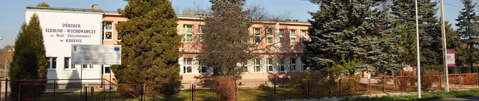 Przedszkole Specjalne Nr 12 uruchamia oddział dla dzieci z autyzmem - zdjęcie w treści