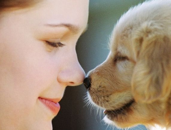 Pies i jego właścicielka