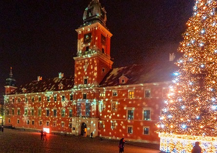 Krośnieńscy wolontariusze w Warszawie - zdjęcie w treści  nr 4