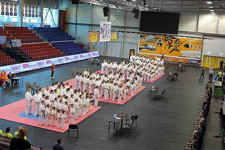 Siedem medali w Budapeszcie dla KKK Kyokushin - zdjęcie w treści  nr 1