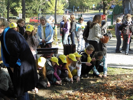 KROSNO ZNÓW ZAKWITNIE NADZIEJĄ - zdjęcie w treści 