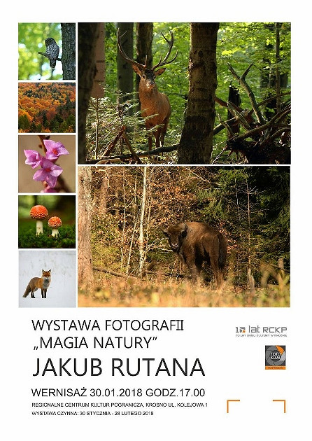 WYSTAWA FOTOGRAFII „MAGIA NATURY” JAKUBA RUTANY - zdjęcie w treści 