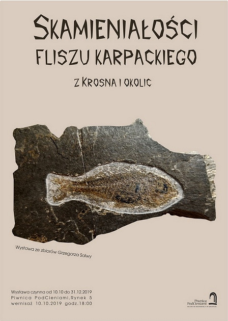 Wystawa paleontologiczna w Piwnicy PodCieniami - zdjęcie w treści
