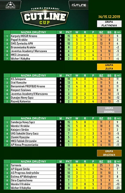 Wielki turniejowy sukces MOSIRu Karpat Krosno 2010! - zdjęcie w treści 