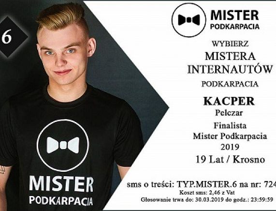 Plakat głosowania Mister Podkarpacia