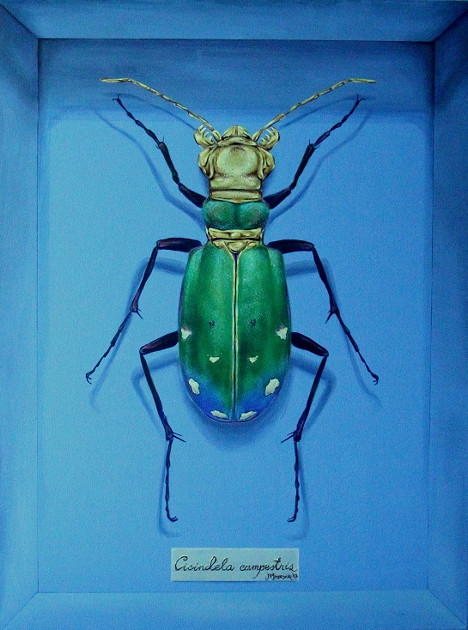 „Imago” wystawa malarstwa Michała Spryszyńskiego - zdjęcie w treści nr 1