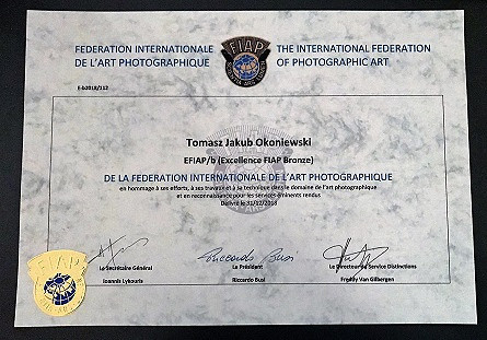 Tomasz Okoniewski z tytułem EXCELLENCE FIAP BRONZE - zdjęcie w treści  nr 1