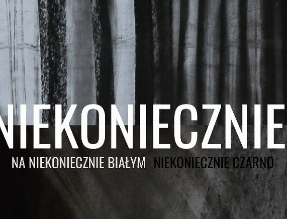 Wystawa Justyny Kazaneckiej rysunek, fotogramy, collage