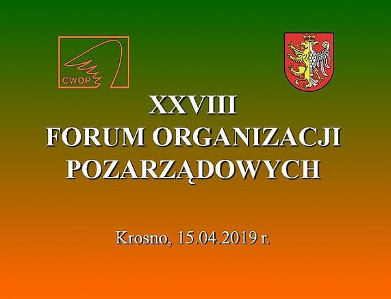 Uczestnicy Forum Organizacji Pozarządowych